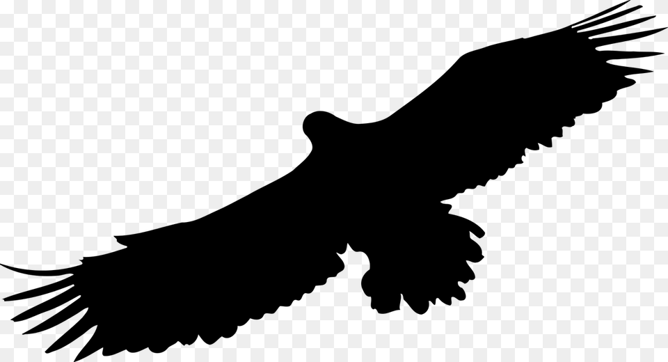 Silhouette Bird Of Prey, Gray Free Transparent Png