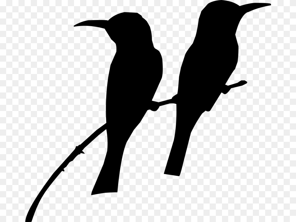 Silhouette Bird On The Tree Tow Bird39s Nature Birds Sitting On A Tree Black And White Clipart, Gray Png Image