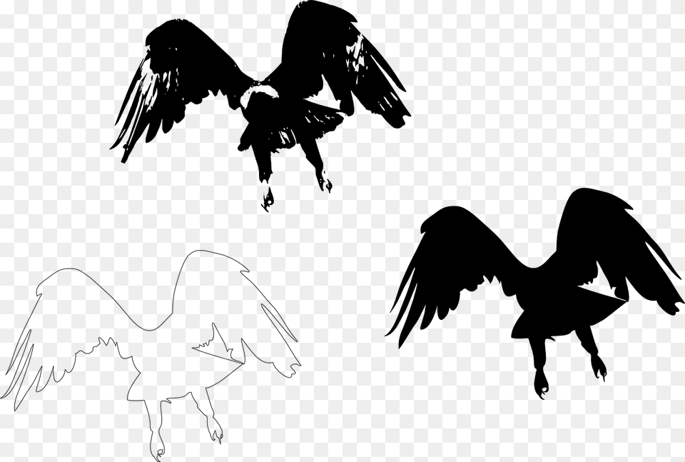 Silhouette Bird Wing Feather Eagle Flying Away, Gray Png Image