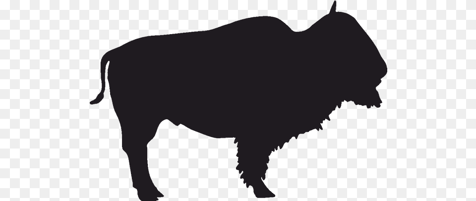 Silhouette Buffalo, Animal, Bison, Mammal, Wildlife Free Png