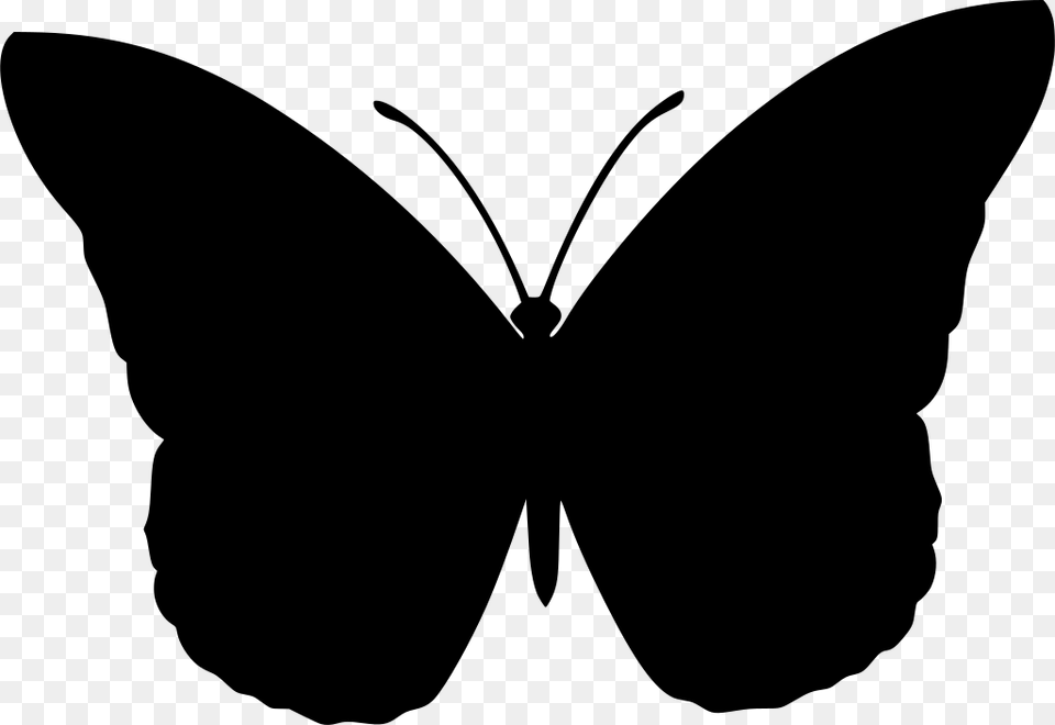 Silhouette Butterfly Clip Art Transparent, Gray Free Png