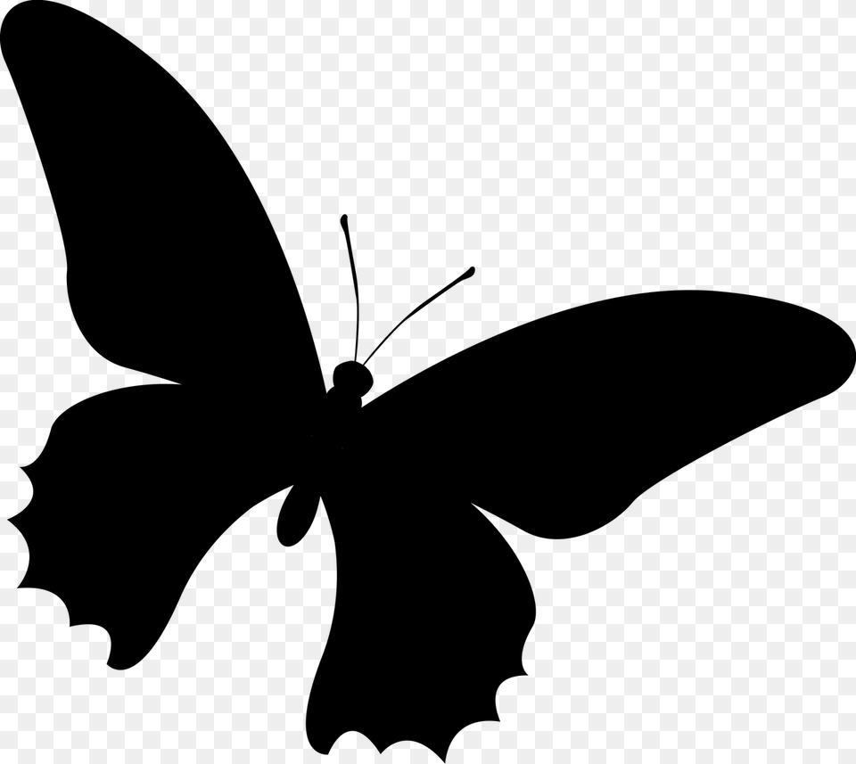 Silhouette Butterfly Insect Photo Kupu Kupu Vektor, Gray Free Transparent Png