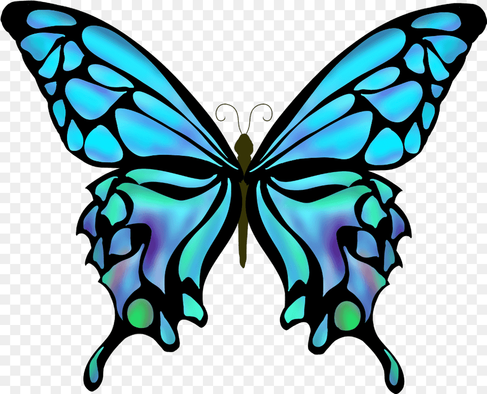 Silhouette Butterfly Vector, Art, Graphics, Pattern, Light Png