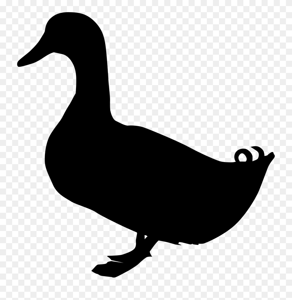 Silhouette Canard, First Aid Free Png