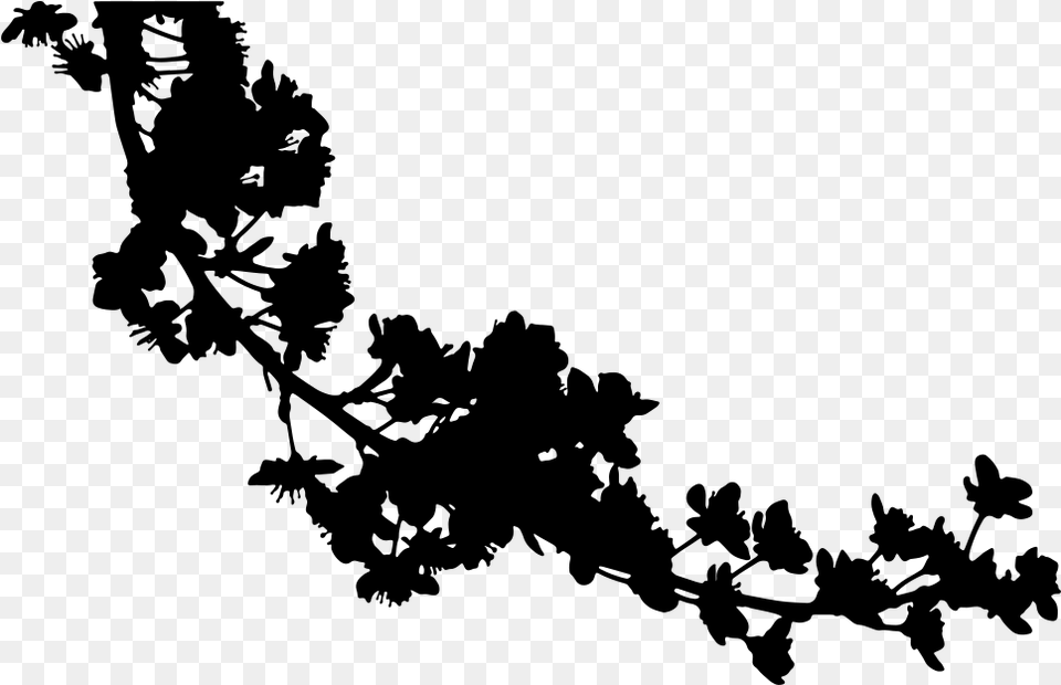 Silhouette Cherry Blossom Cherry Blossom Branch Silhouette, Gray Free Png Download