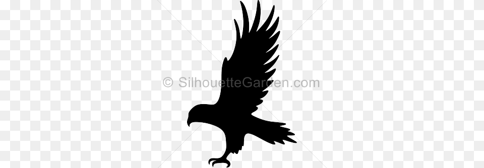 Silhouette Clip Art, Animal, Bird, Flying, Eagle Free Png