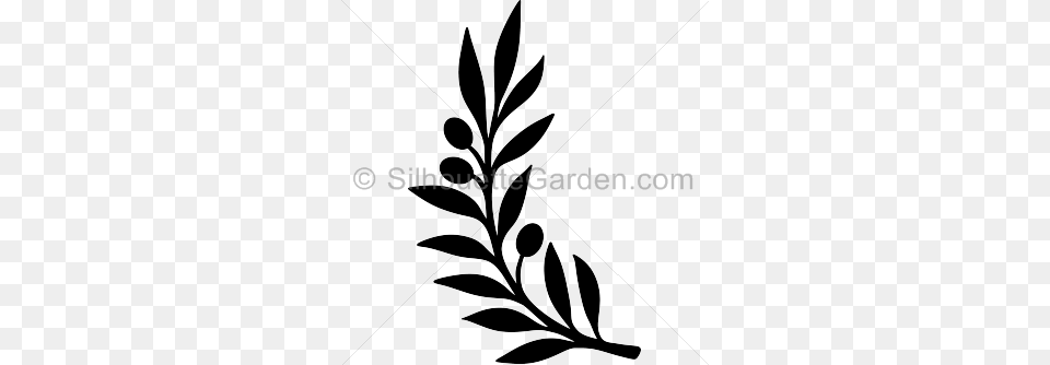 Silhouette Clip Art, Floral Design, Graphics, Pattern, Plant Free Png Download