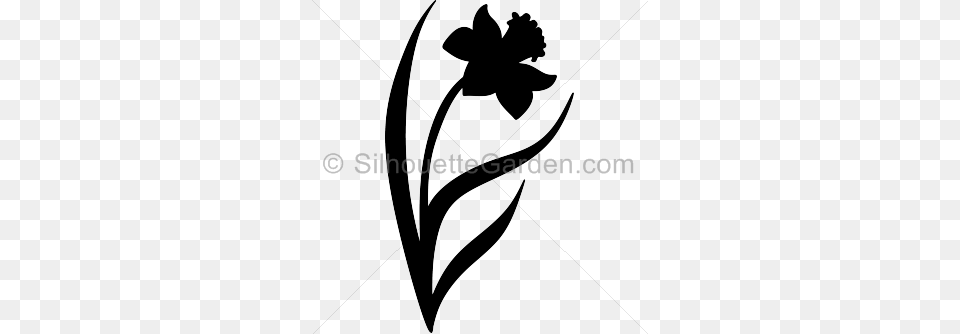 Silhouette Clip Art, Daffodil, Flower, Plant, Bow Free Png
