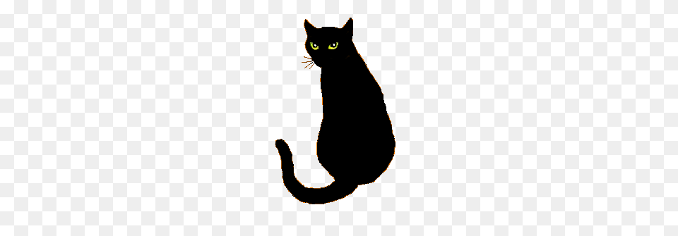 Silhouette Clip Art Chats Halloween Black Cat, Animal, Mammal, Pet, Black Cat Free Png Download