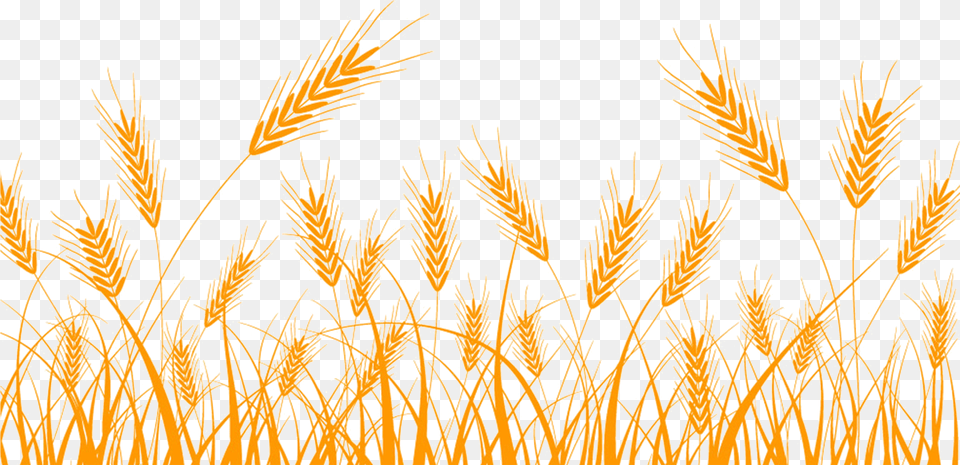 Silhouette Clip Art Transprent Free Bountiful Harvest Essays In Honor Of S Kent Brown, Grass, Plant, Food, Grain Png