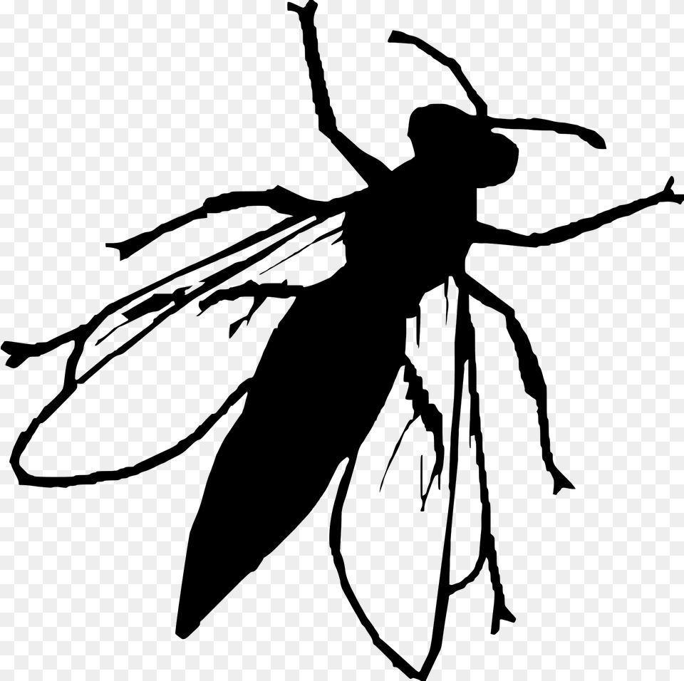 Silhouette Clipart, Animal, Bee, Insect, Invertebrate Free Png