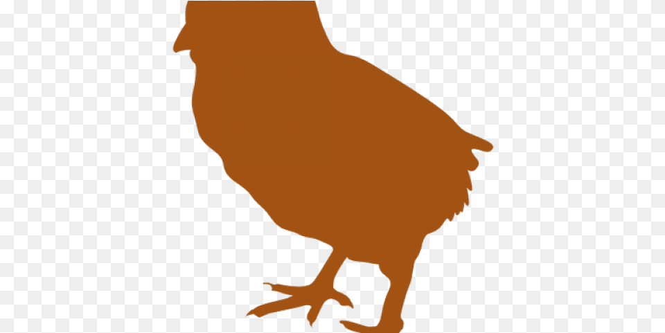 Silhouette Clipart Chicken Chicken, Animal, Bird, Person, Fowl Png