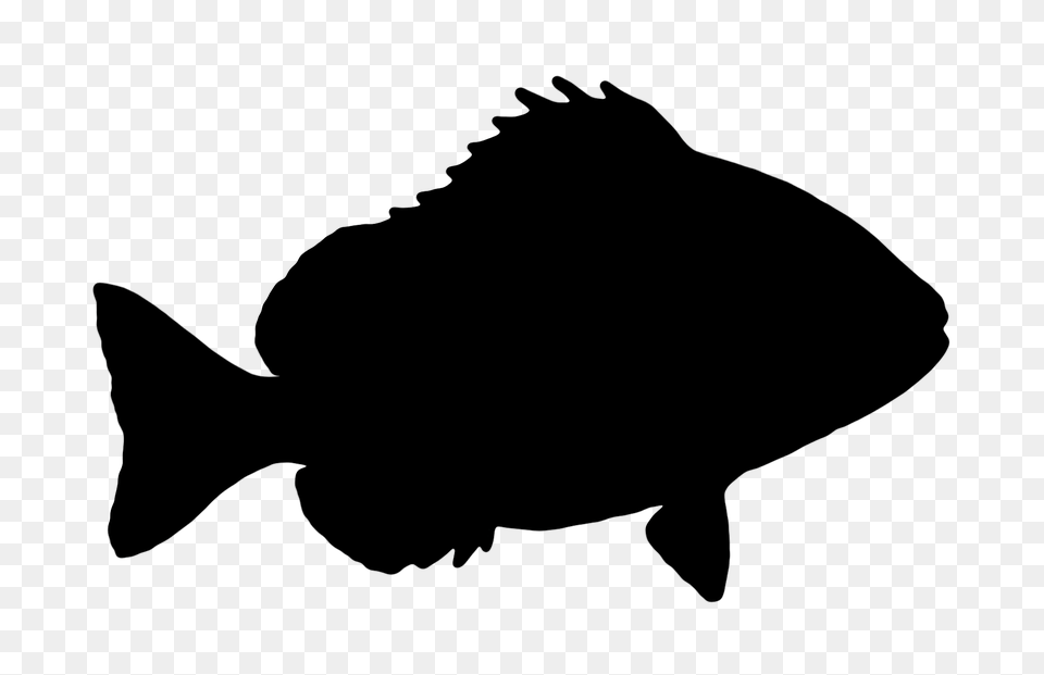 Silhouette Clipart Fish, Gray Free Png