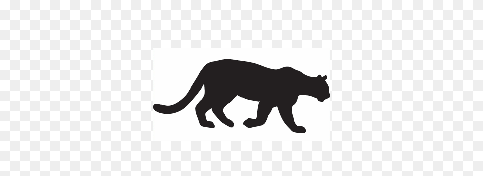 Silhouette Clipart Mountain Lion, Stencil, Animal, Bear, Mammal Free Transparent Png