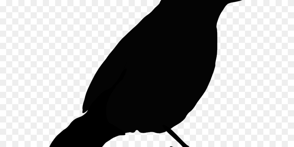 Silhouette Clipart Parrot, Animal, Bird, Blackbird, Bow Png