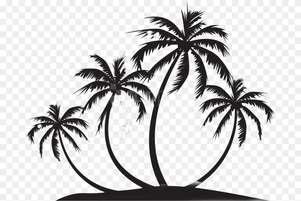 Silhouette Coconut Tree Coconut Tree Black, Palm Tree, Plant, Outdoors, Nature Png Image