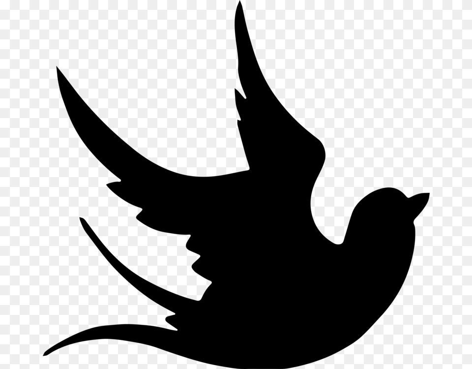Silhouette Columbidae Line Art Dove, Gray Free Png Download