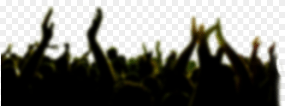 Silhouette Crowd Concert, Lighting, Person, Plant, Moss Png Image