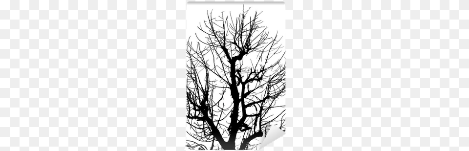 Silhouette Dead Tree On Isolated White Background Wall Tree, Plant, Art, Drawing, Person Free Png Download