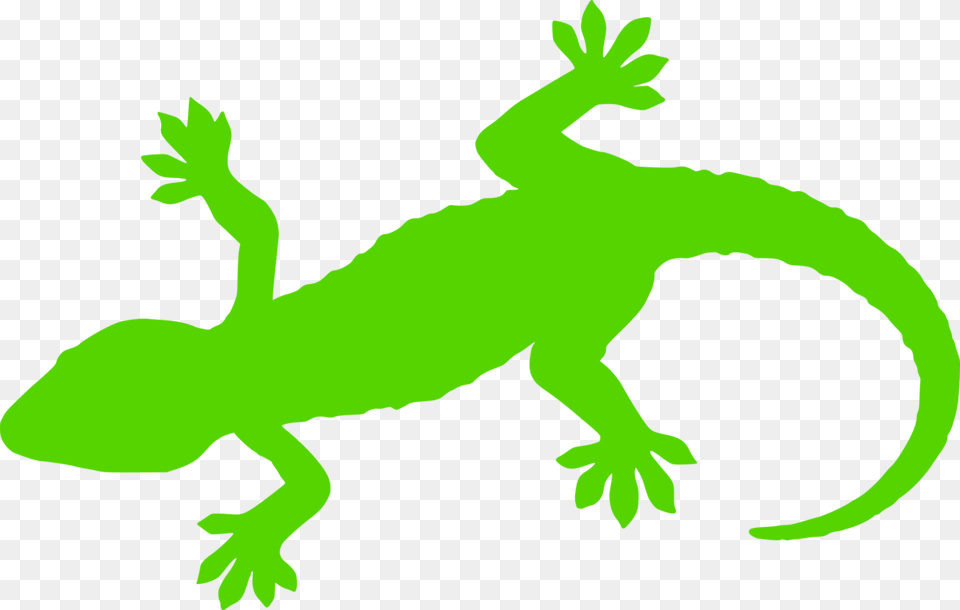 Silhouette Drawing, Animal, Gecko, Lizard, Reptile Free Transparent Png