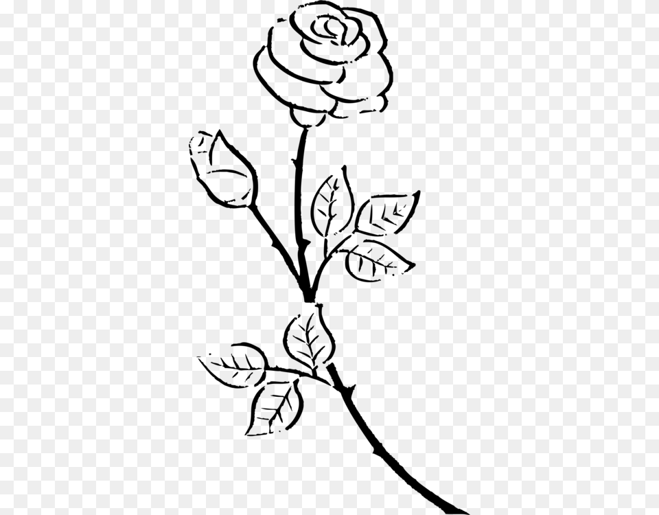 Silhouette Drawing Rose Black And White Flower, Gray Free Transparent Png