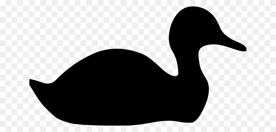 Silhouette Duck Clipart Explore Pictures, Gray Png Image