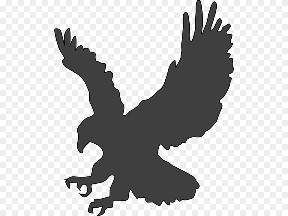 Silhouette Eagle Clipart, Baby, Person, Animal, Bird Free Transparent Png