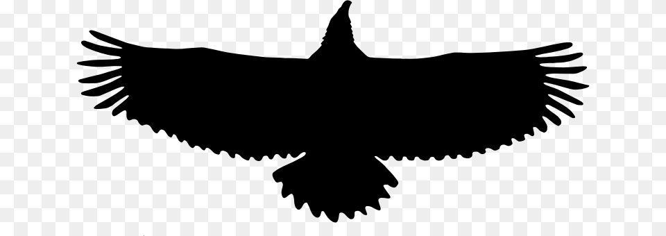 Silhouette Eagle Clipart Explore Pictures, Gray Png Image