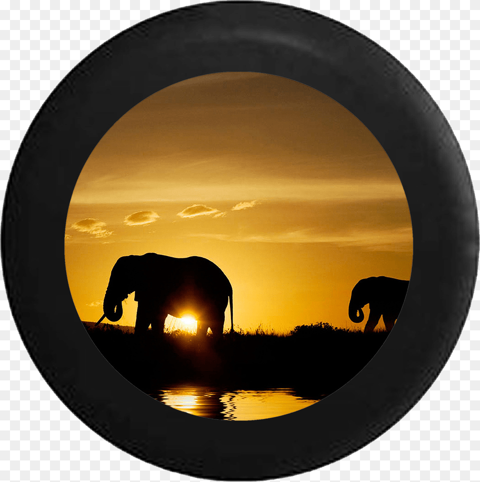 Silhouette Elephants Over The African Sahara Wildlife Wallpaper, Photography, Animal, Elephant, Mammal Png