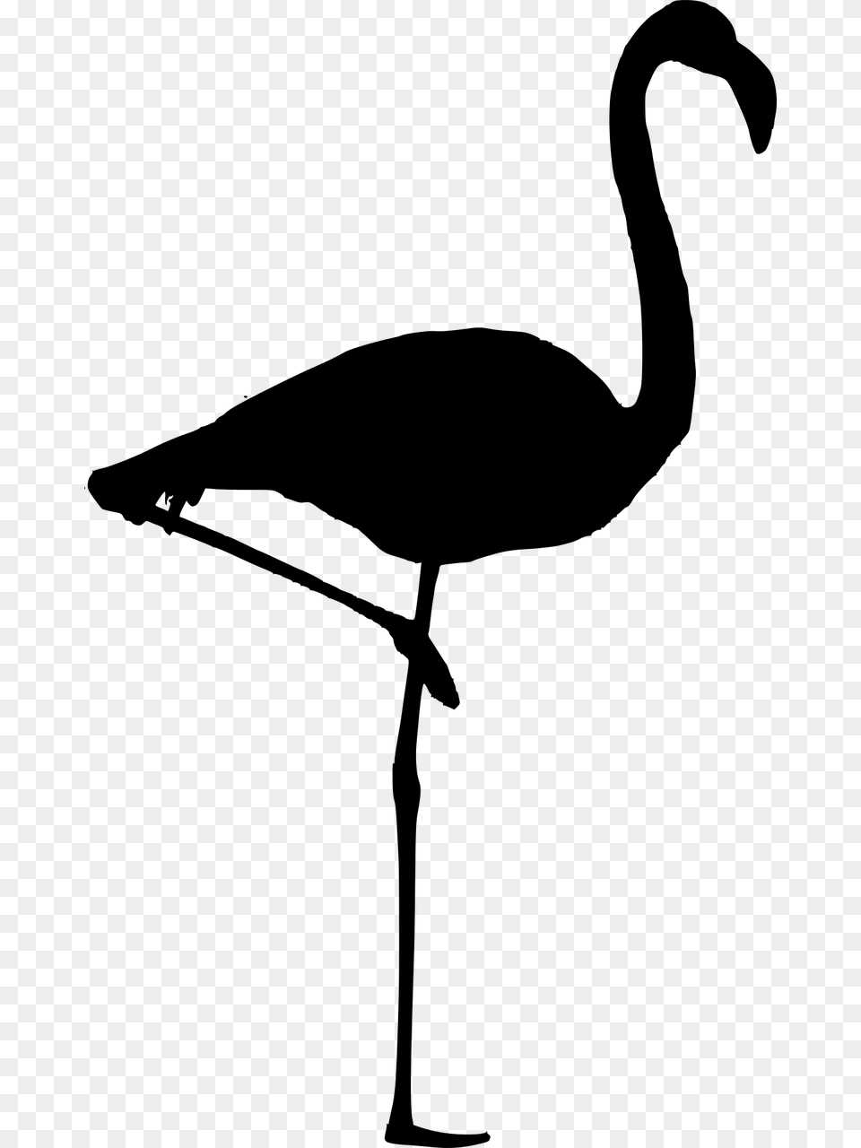 Silhouette Flamingo Vector Flamingo Birds Tropical Silueta De Un Flamenco, Gray Free Png