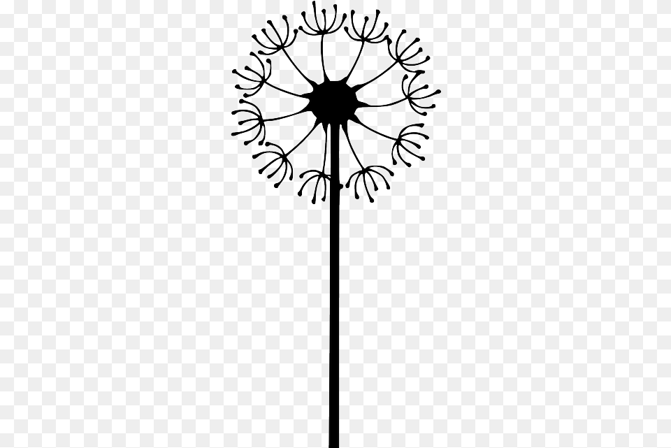 Silhouette Flower Grass Plant Dandelions B Cng Anh Vector, Dandelion, Festival, Hanukkah Menorah Free Png Download