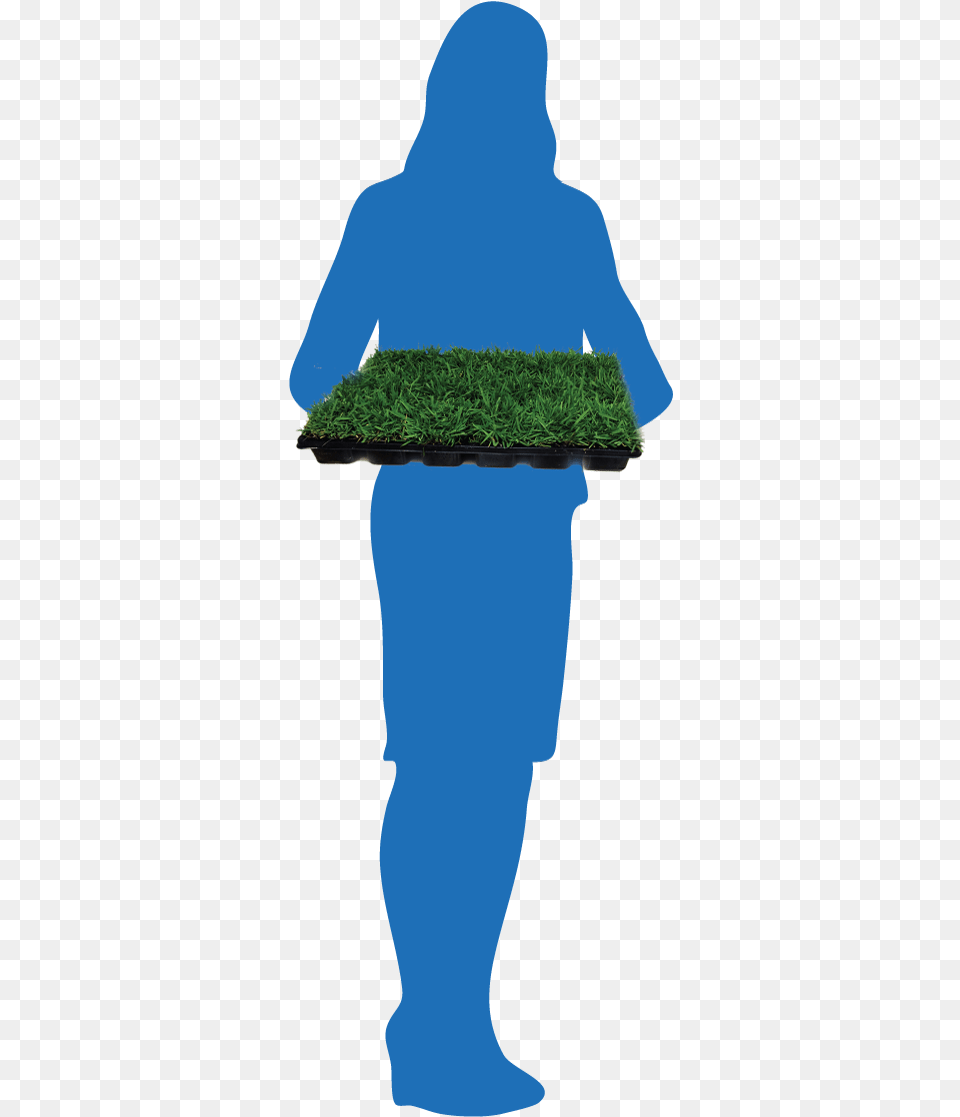 Silhouette Grass, Nature, Moss, Land, Plant Png