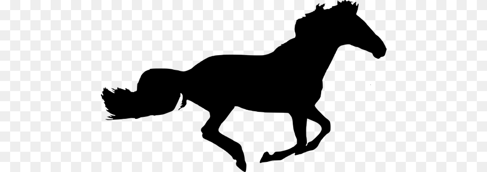 Silhouette Horse Isolated Black Buy Me A Coffee, Gray Free Transparent Png