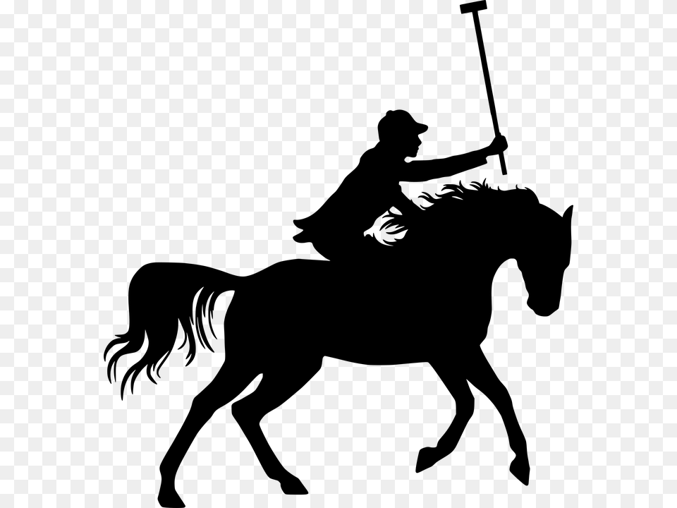 Silhouette Horse Polo, Gray Free Png Download