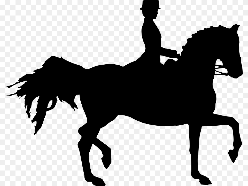 Silhouette Horse Sport Chestnut Horse Woman Cutout Hst Siluett, Gray Png