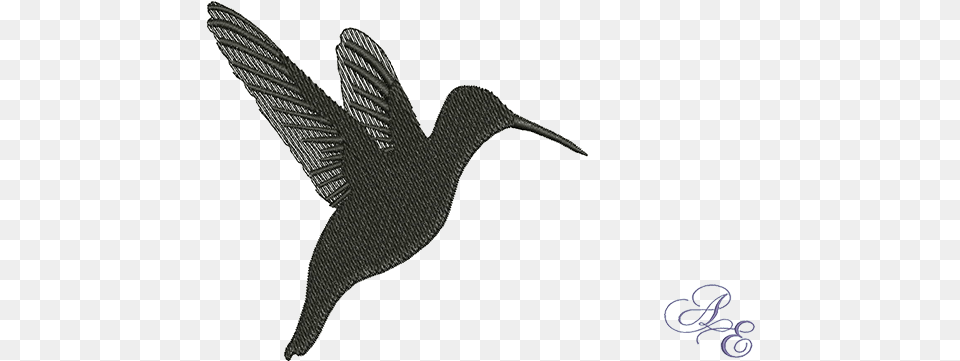 Silhouette Hummingbird, Animal, Beak, Bird Free Transparent Png