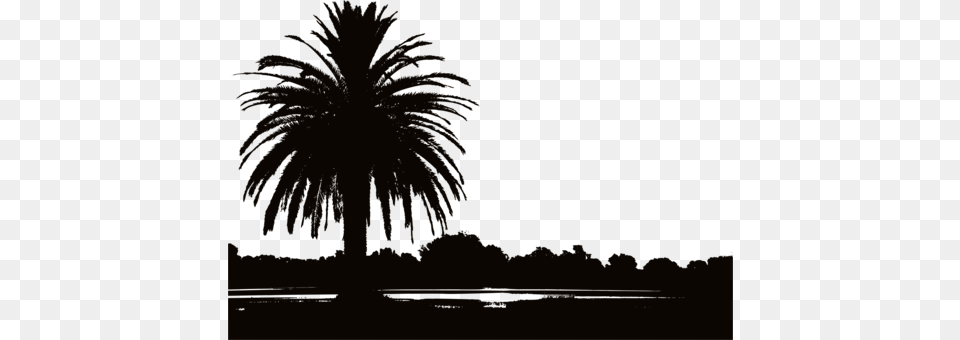 Silhouette Landscape Photography Landscape Design Sunset Sunset Silhouette Palm Trees, Fireworks, Palm Tree, Plant, Tree Free Png Download