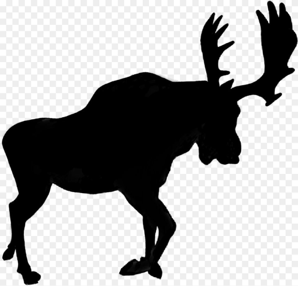 Silhouette Moose Horns Shadow Animal Antlers Horse Clip Art Silhouette, Gray Free Png