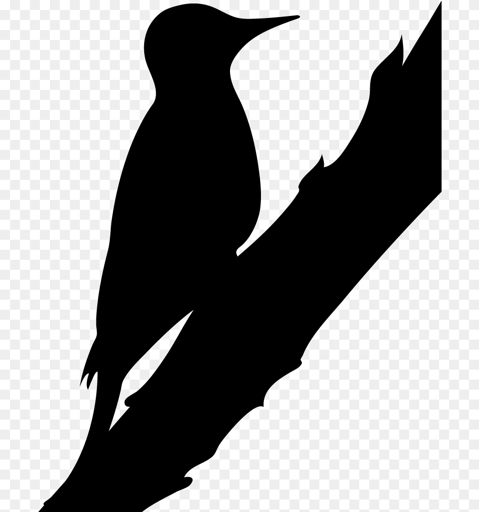 Silhouette Northern Flicker Clipart Northern Flicker Silhouette, Animal, Bird, Blackbird, Bow Png Image