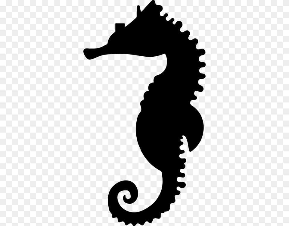 Silhouette Northern Seahorse Pipefishes And Allies Great Seahorse, Nature, Night, Outdoors Png Image