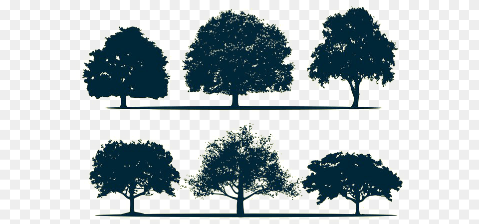 Silhouette Oak Tree Tree Silhouette Download Vector Oak Tree, Woodland, Vegetation, Sycamore, Plant Png Image