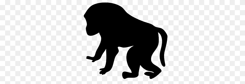 Silhouette Of A Baboon, Animal, Mammal, Monkey, Wildlife Png
