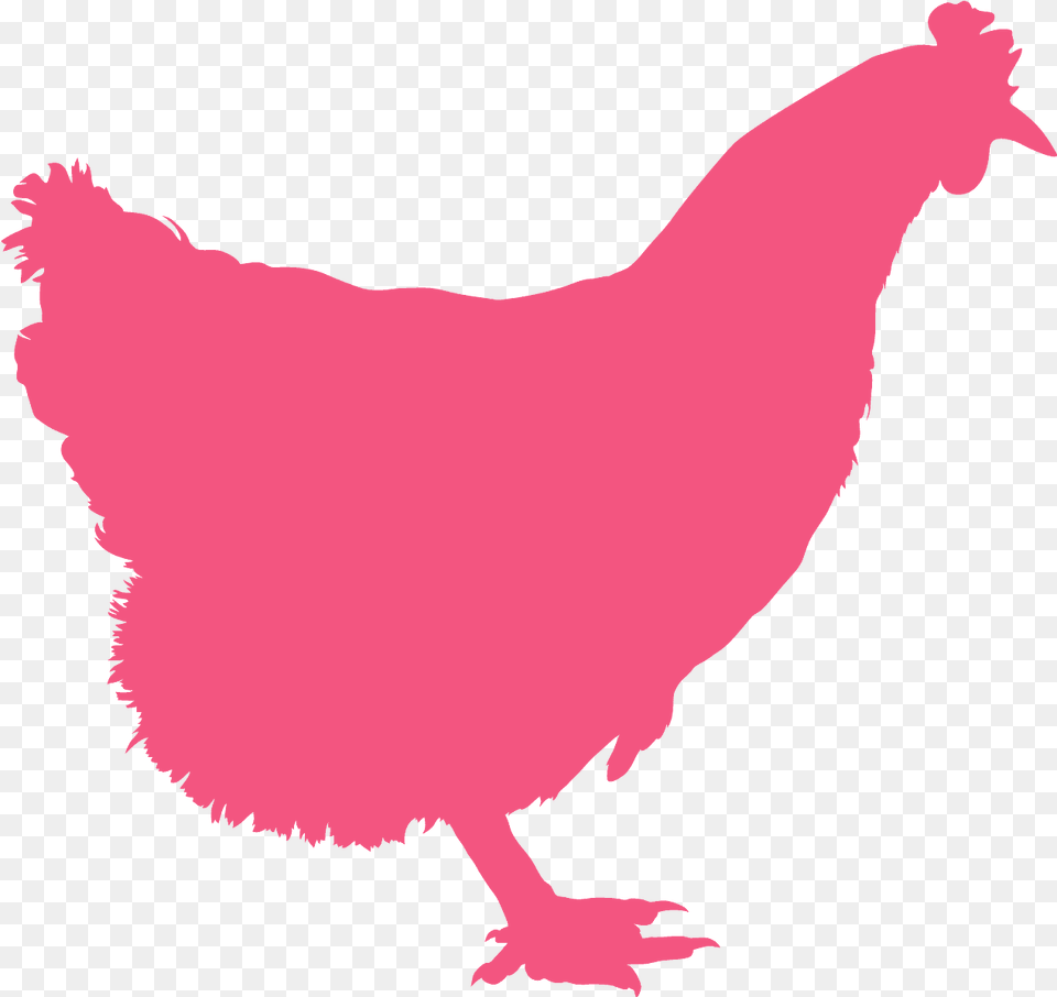 Silhouette Of A Chickens Grey, Animal, Bird, Chicken, Fowl Free Transparent Png