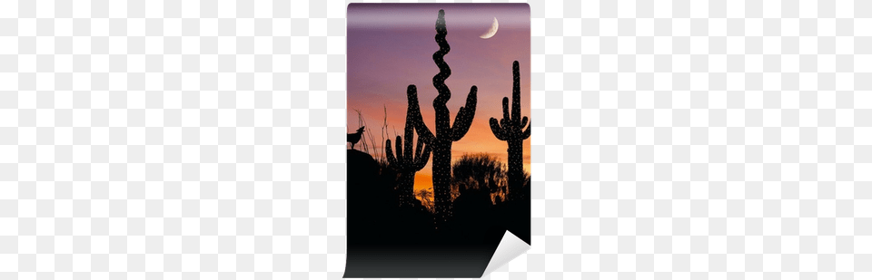 Silhouette Of A Coyote Howling At A Decorated Saguaro Desert, Nature, Night, Outdoors, Astronomy Free Png Download