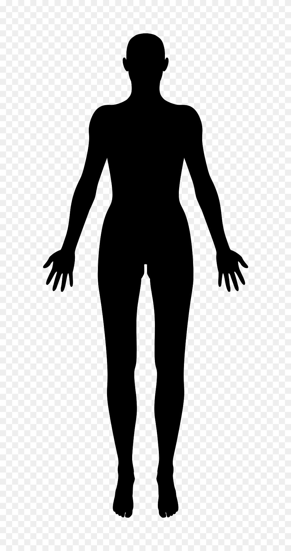 Silhouette Of A Female Body, Adult, Male, Man, Person Free Png Download