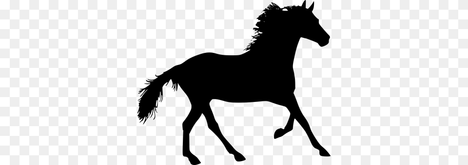 Silhouette Of A Horse Arklis, Gray Png Image