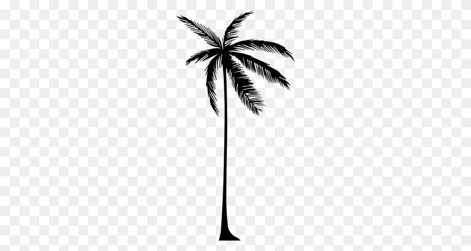 Silhouette Of A Palm Tree, Palm Tree, Plant, Leaf Free Png