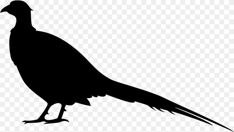 Silhouette Of A Pheasant, Gray Png