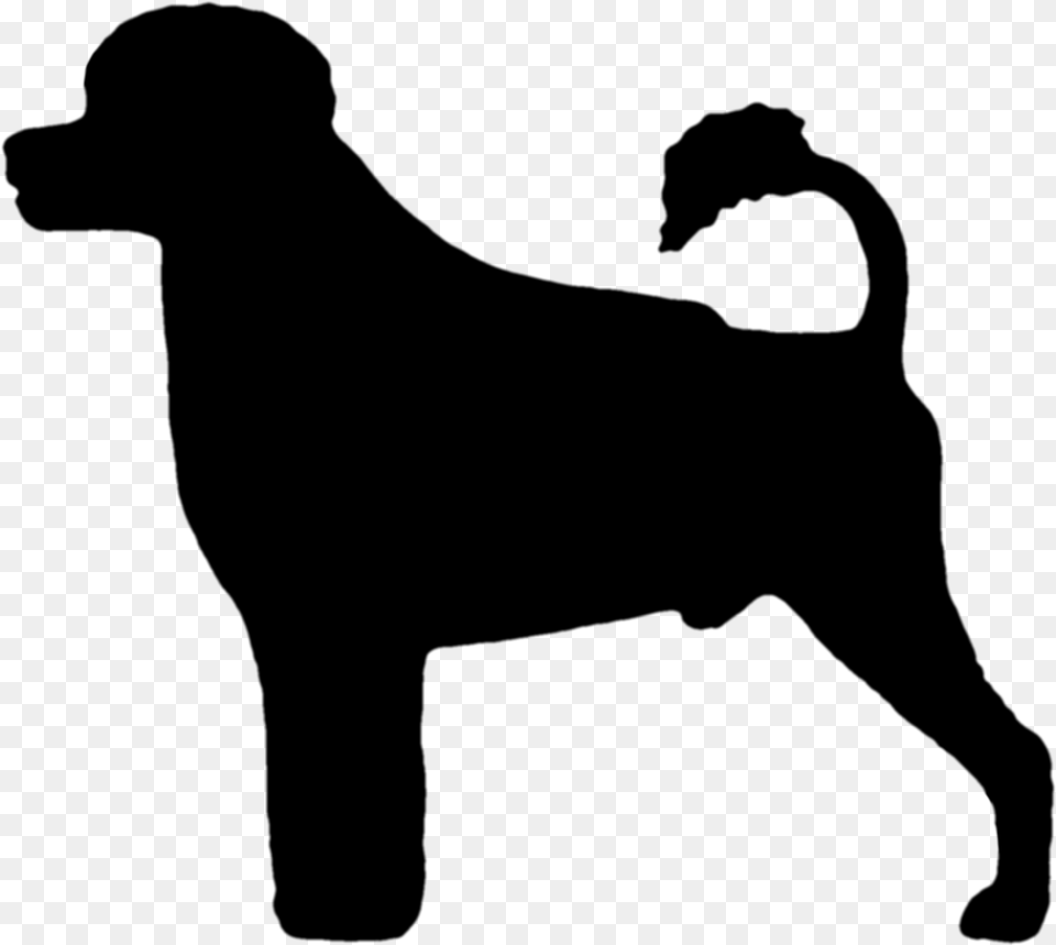 Silhouette Of A Portuguese Water Dog In Lion Clip Companion Dog, Gray Free Png