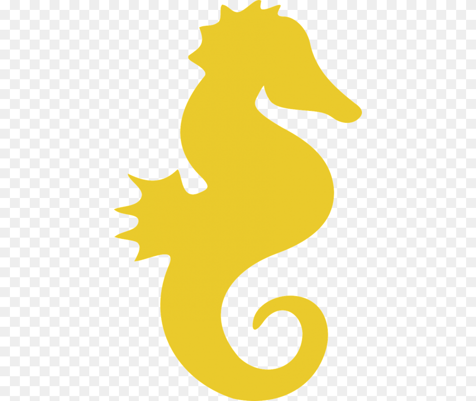 Silhouette Of A Seahorse Clipart Silhouette Sea Horse Clip Art, Animal, Sea Life, Mammal, Fish Free Png